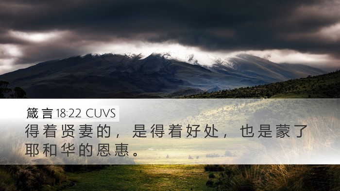 箴 言 18:22 CUVS Bible Verse Image