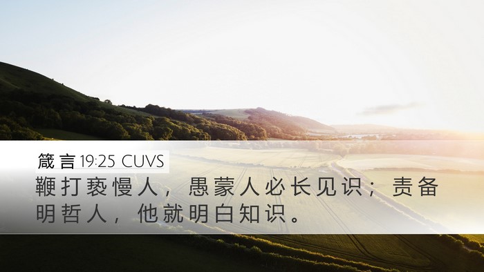 箴 言 19:25 CUVS Desktop Wallpaper - 鞭 打 亵 慢 人 ， 愚 蒙 人 必 长 见 - Desktop Bible Verse Wallpaper