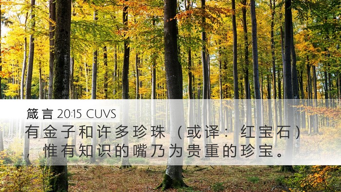 箴 言 20:15 CUVS Bible Verse Image