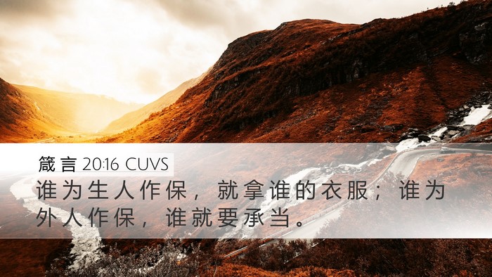 箴 言 20:16 CUVS Bible Verse Image