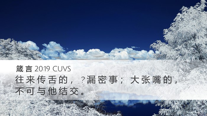 箴 言 20:19 CUVS Bible Verse Image