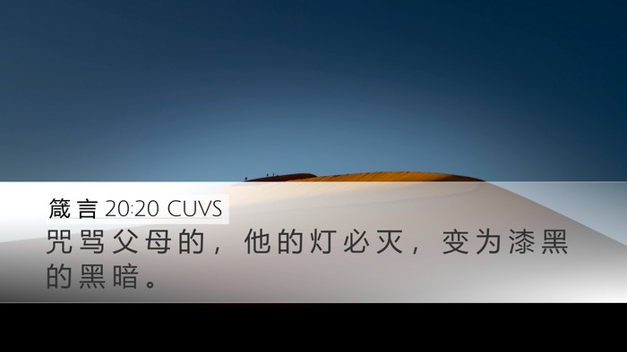 箴 言 20:20 CUVS Bible Verse Image