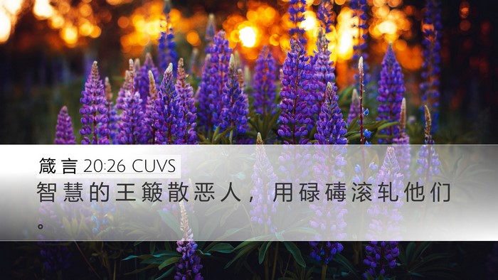 箴 言 20:26 CUVS Bible Verse Image