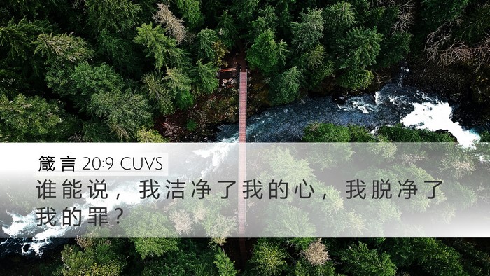 箴 言 20:9 CUVS Bible Verse Image