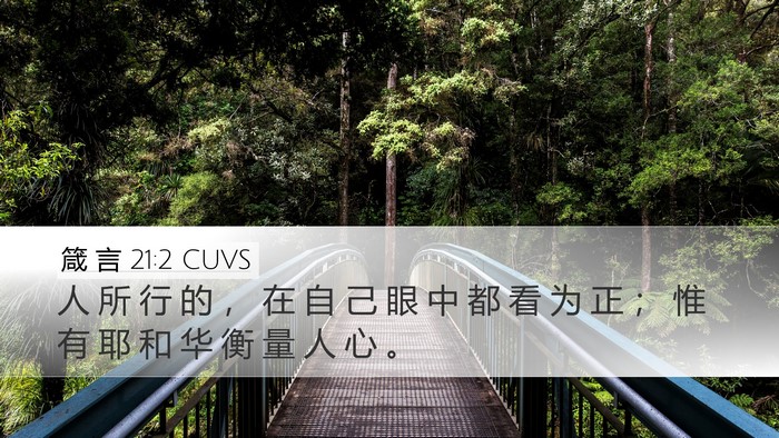 箴 言 21:2 CUVS Bible Verse Image