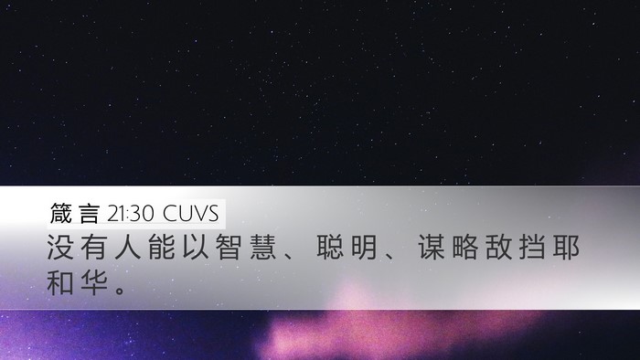 箴 言 21:30 CUVS Bible Verse Image