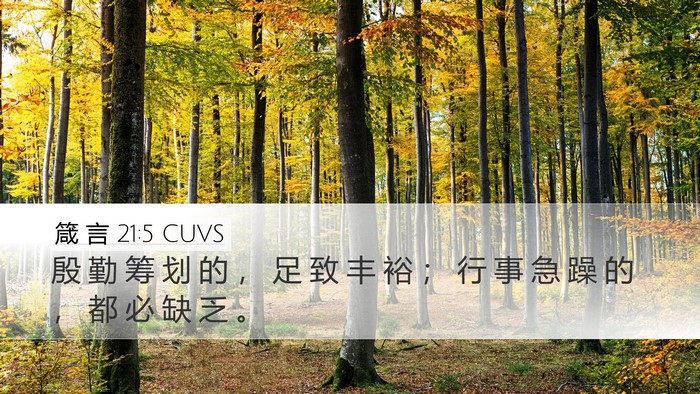 箴 言 21:5 CUVS Bible Verse Image