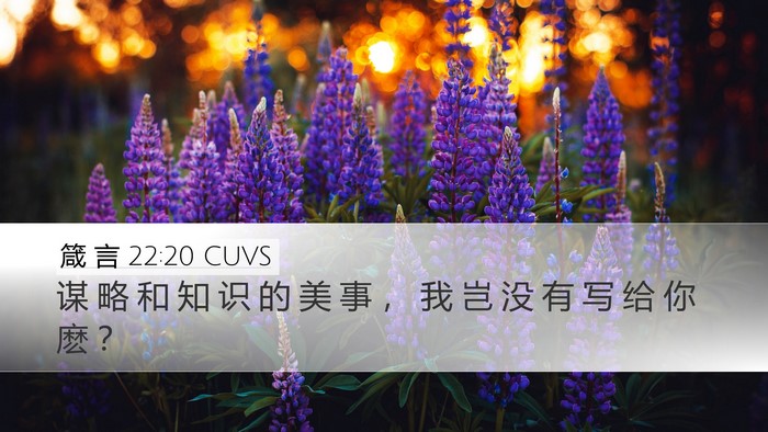 箴 言 22:20 CUVS Bible Verse Image