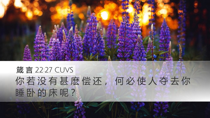 箴 言 22:27 CUVS Desktop Wallpaper - 你 若 没 有 甚 麽 偿 还 ， 何 必 使 - Desktop Bible Verse Wallpaper