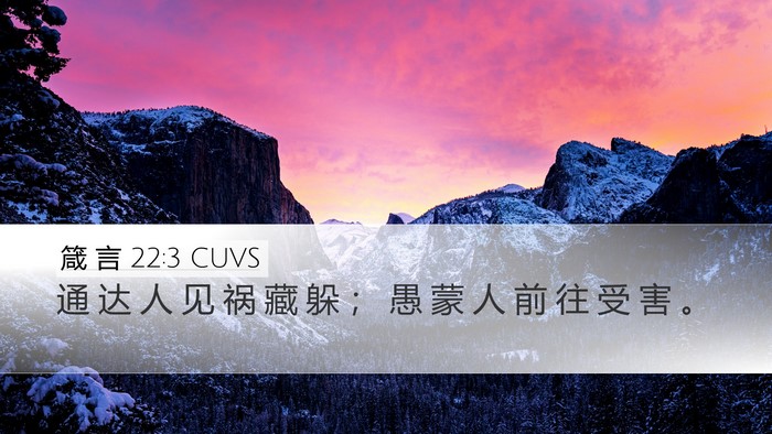 箴 言 22:3 CUVS Bible Verse Image