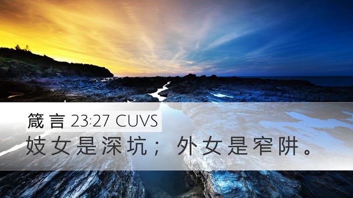 箴 言 23:27 CUVS Bible Verse Image