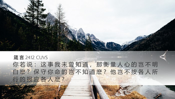 箴 言 24:12 CUVS Bible Verse Image