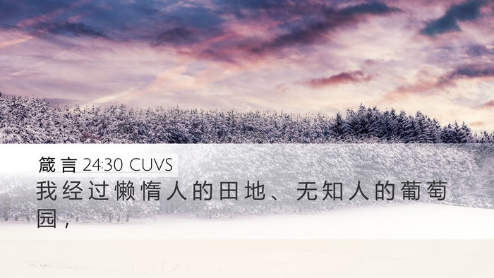 箴 言 24:30 CUVS Bible Verse Image