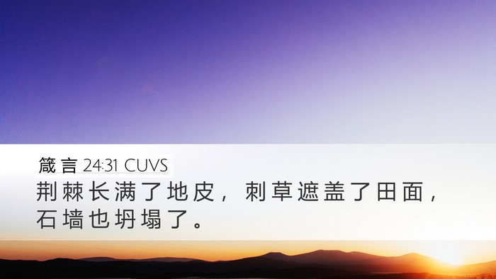 箴 言 24:31 CUVS Desktop Wallpaper - 荆 棘 长 满 了 地 皮 ， 刺 草 遮 盖 - Desktop Bible Verse Wallpaper