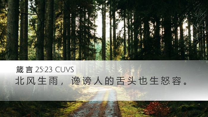 箴 言 25:23 CUVS Bible Verse Image