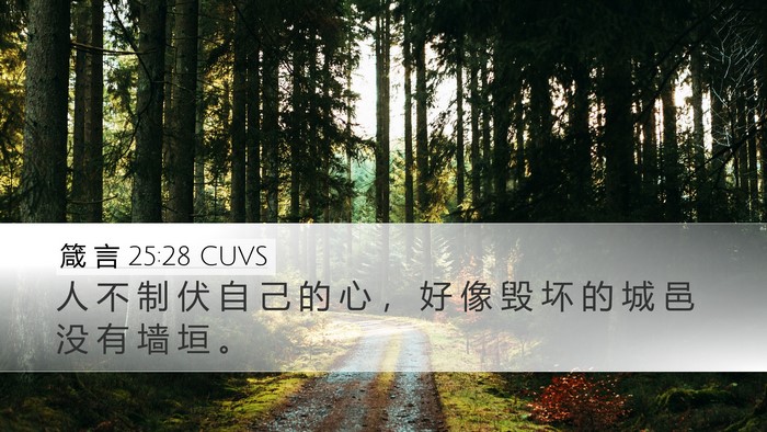 箴 言 25:28 CUVS Bible Verse Image