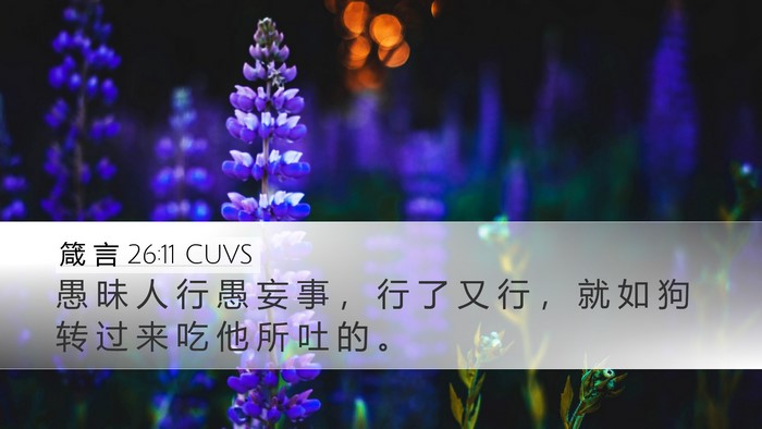 箴 言 26:11 CUVS Bible Verse Image