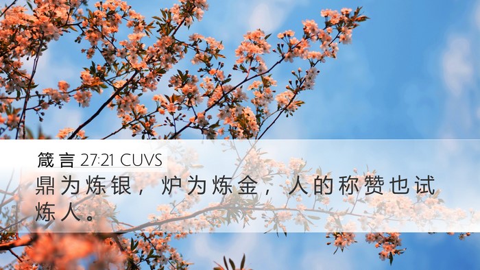 箴 言 27:21 CUVS Bible Verse Image