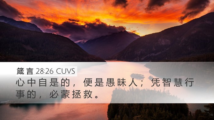 箴 言 28:26 CUVS Bible Verse Image