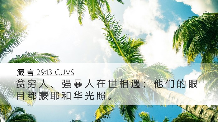 箴 言 29:13 CUVS Bible Verse Image