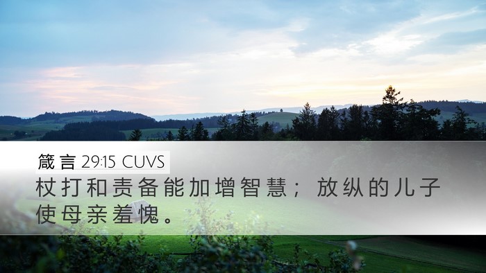 箴 言 29:15 CUVS Bible Verse Image