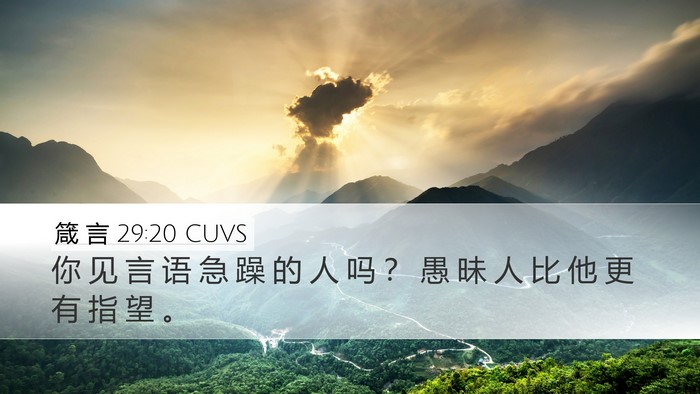 箴 言 29:20 CUVS Bible Verse Image
