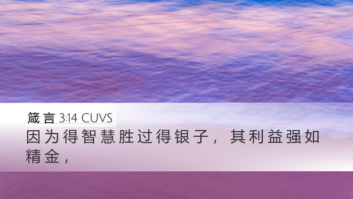 箴 言 3:14 CUVS Bible Verse Image