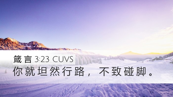 箴 言 3:23 CUVS Bible Verse Image