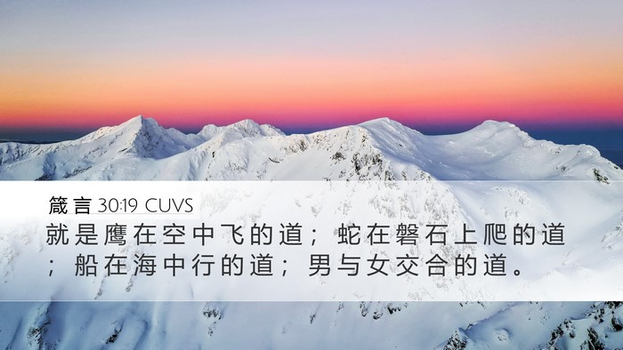 箴 言 30:19 CUVS Desktop Wallpaper - 就 是 鹰 在 空 中 飞 的 道 ； 蛇 在 - Desktop Bible Verse Wallpaper