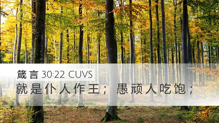 箴 言 30:22 CUVS Bible Verse Image