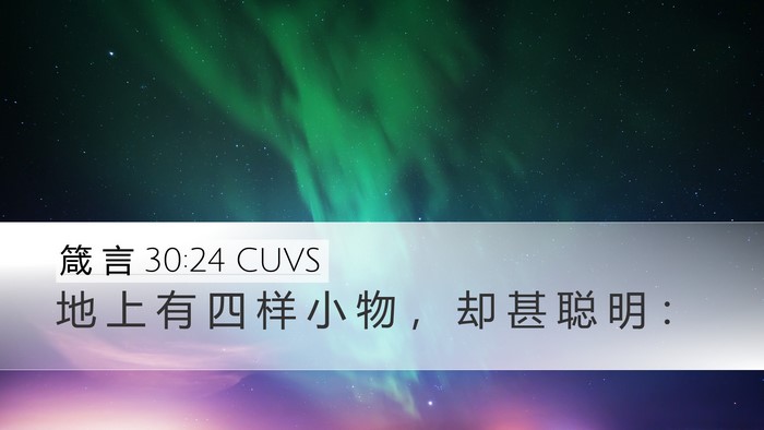 箴 言 30:24 CUVS Bible Verse Image