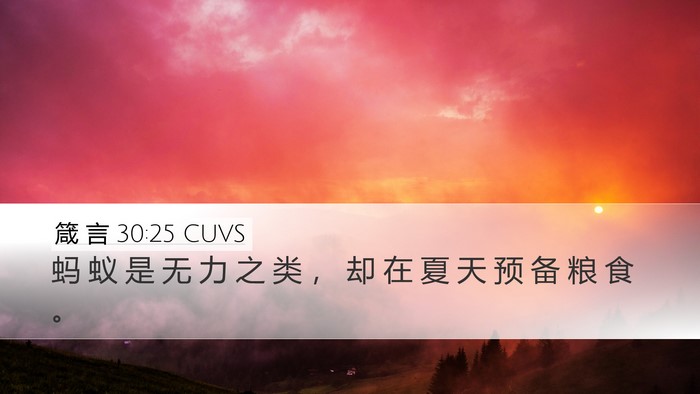 箴 言 30:25 CUVS Bible Verse Image