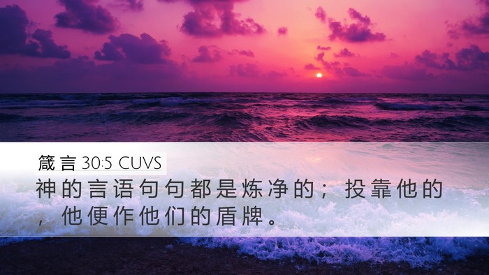 箴 言 30:5 CUVS Bible Verse Image