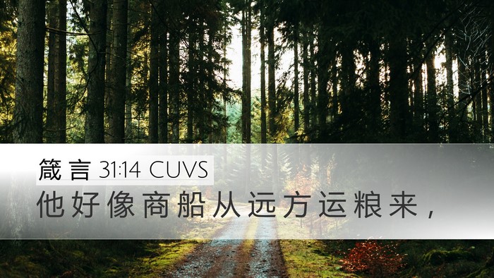 箴 言 31:14 CUVS Desktop Wallpaper - 他 好 像 商 船 从 远 方 运 粮 来 - Desktop Bible Verse Wallpaper