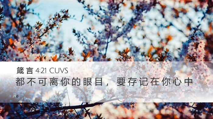 箴 言 4:21 CUVS Bible Verse Image