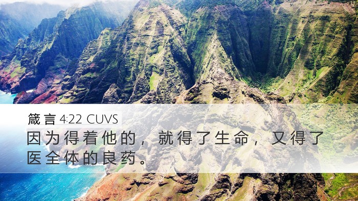 箴 言 4:22 CUVS Bible Verse Image