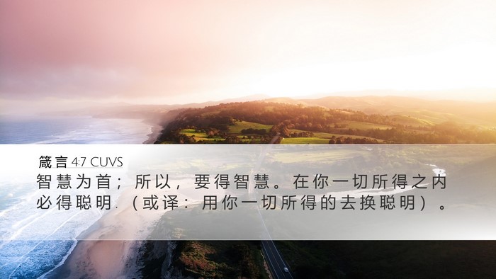 箴 言 4:7 CUVS Desktop Wallpaper - 智 慧 为 首 ； 所 以 ， 要 得 智 慧 - Desktop Bible Verse Wallpaper