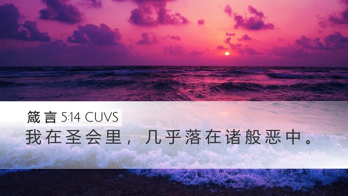 箴 言 5:14 CUVS Desktop Wallpaper - 我 在 圣 会 里 ， 几 乎 落 在 诸 般 - Desktop Bible Verse Wallpaper