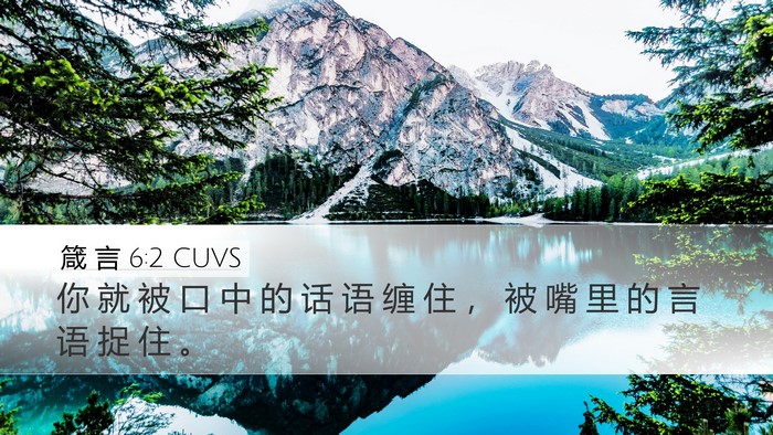 箴 言 6:2 CUVS Bible Verse Image