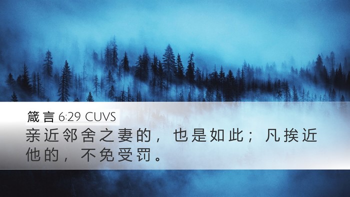箴 言 6:29 CUVS Bible Verse Image