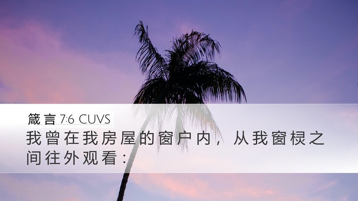 箴 言 7:6 CUVS Desktop Wallpaper - 我 曾 在 我 房 屋 的 窗 户 内 ， 从 - Desktop Bible Verse Wallpaper