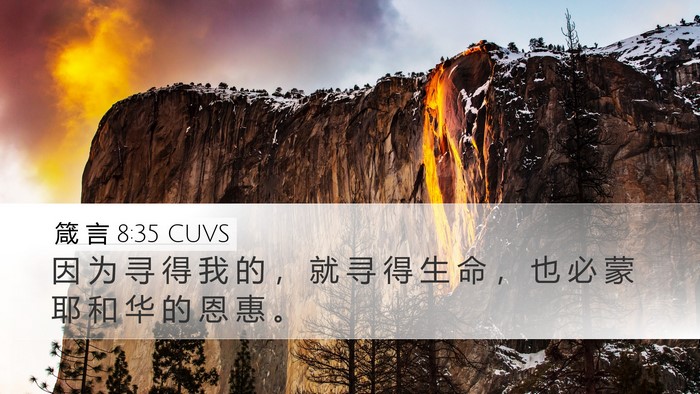 箴 言 8:35 CUVS Bible Verse Image