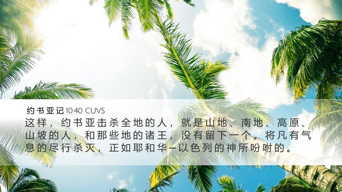 约 书 亚 记 10:40 CUVS Bible Verse Image