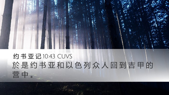 约 书 亚 记 10:43 CUVS Bible Verse Image