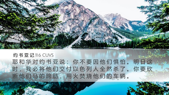 约 书 亚 记 11:6 CUVS Bible Verse Image