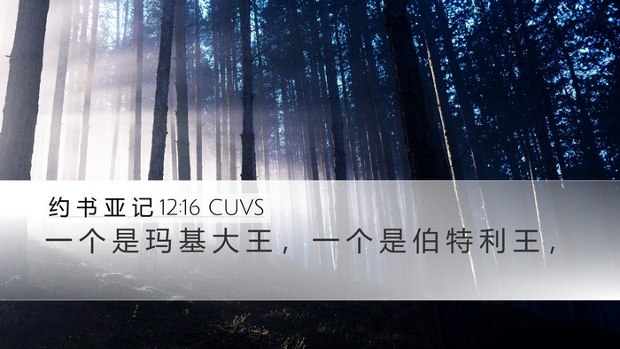 约 书 亚 记 12:16 CUVS Bible Verse Image