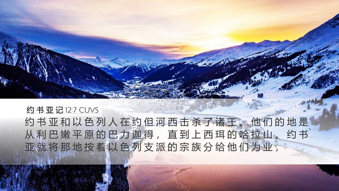约 书 亚 记 12:7 CUVS Bible Verse Image