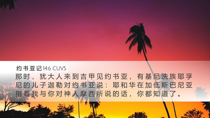 约 书 亚 记 14:6 CUVS Bible Verse Image