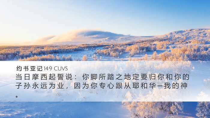 约 书 亚 记 14:9 CUVS Desktop Wallpaper - 当 日 摩 西 起 誓 说 ： 你 脚 所 踏 - Desktop Bible Verse Wallpaper