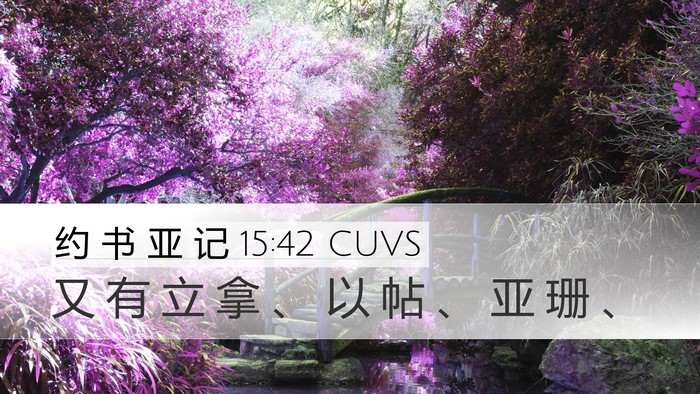 约 书 亚 记 15:42 CUVS Desktop Wallpaper - 又 有 立 拿 、 以 帖 、 亚 珊 - Desktop Bible Verse Wallpaper
